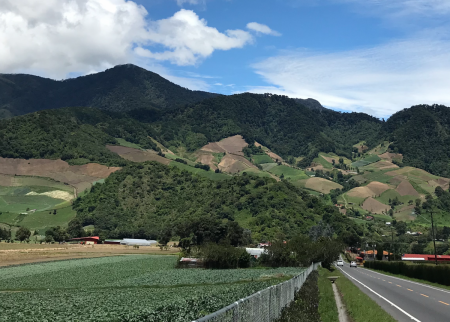 Agricultural production in the Chiriqui highlands